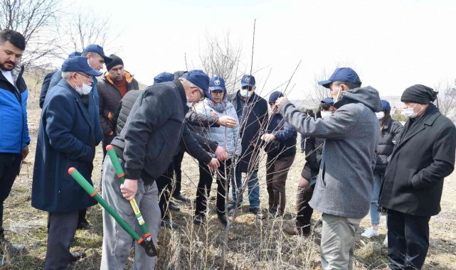 Ankara'da üreticilere "Vişne Üretim Teknikleri Eğitimi"