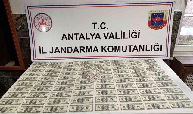 Antalya'da sahte dolar operasyonu: 2 gözaltı