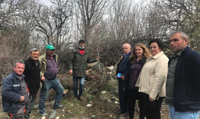 Antepfıstığı ve ceviz üreticilerine uygulamalı eğitim