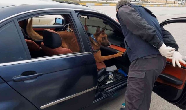 Araçtaki uyuşturucu narkotik detektörü "Kaput"tan kaçmadı