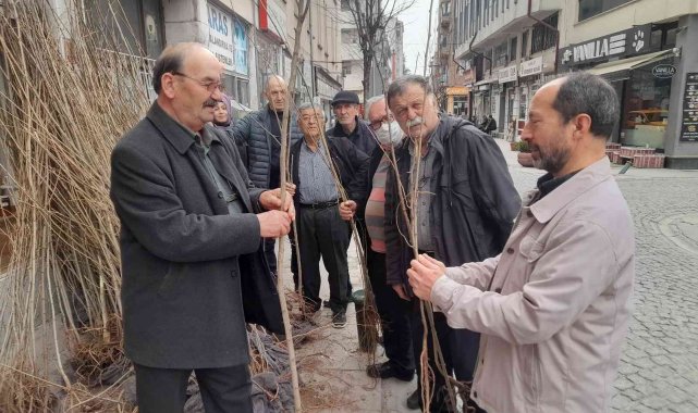 Arıcılara ücretsiz yalancı akasya fidanı dağıtıldı