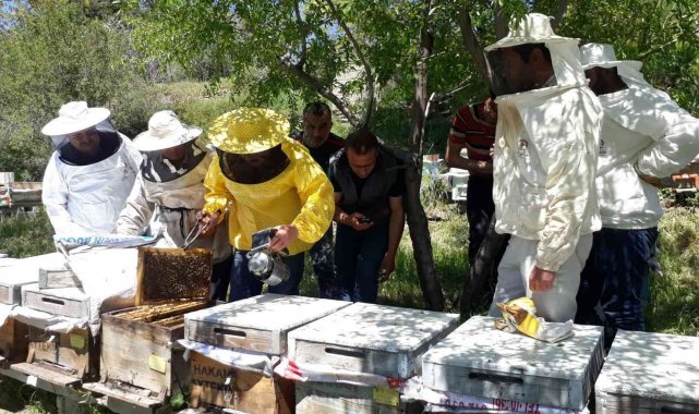 Arıcılık kursiyerleri ilk eğitimlerini aldı