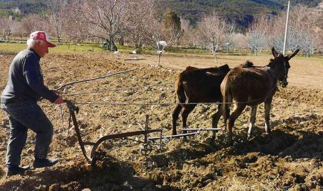 Atadan kalma ilk genelliğini sürdürüyor