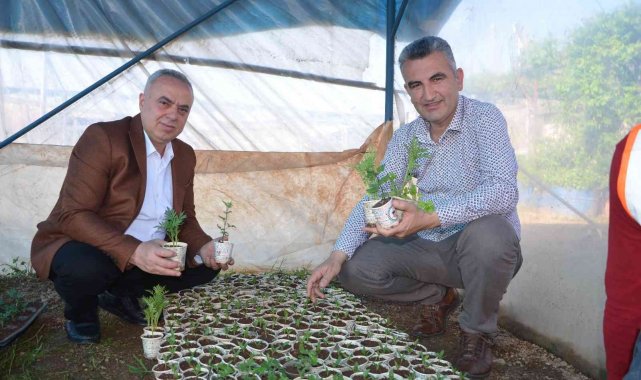 Atık karton bardaklarda çiçek üretiliyor