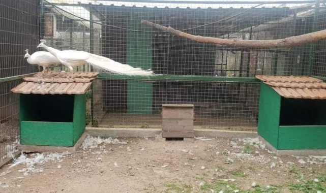 Aydın'da av ve yaban hayvanı özel üretim tesisi denetlendi