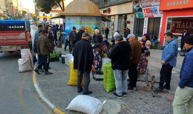 Aydın'da Sarmaşık otu yok satıyor