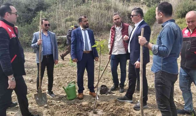 Ayvalık'ta incir demonstrasyon bahçesi