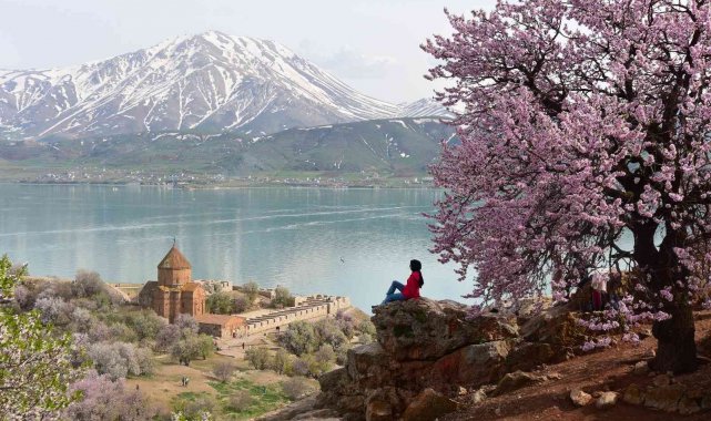 Badem çiçekleriyle renklenen Akdamar Adası'nda görsel şölen