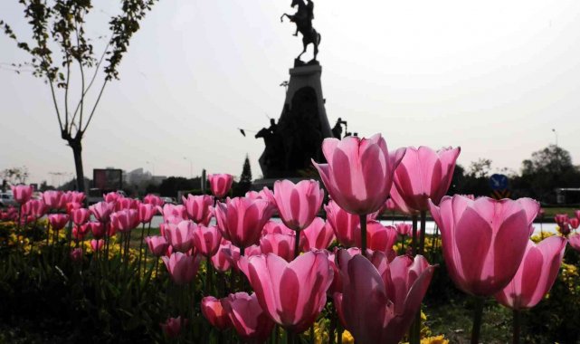Baharın habercisi laleler kenti süslüyor