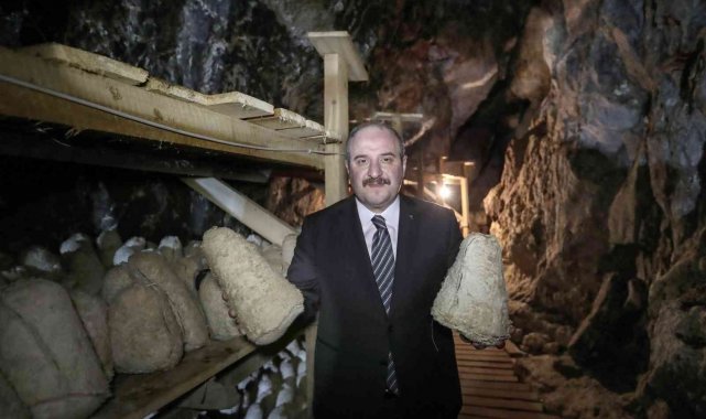 Bakan Varank: "Divle obruk peynirinin kapasitesini arttırmayı hedefliyoruz"