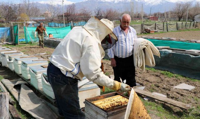 Bal arıları özgürlüğüne kavuştu