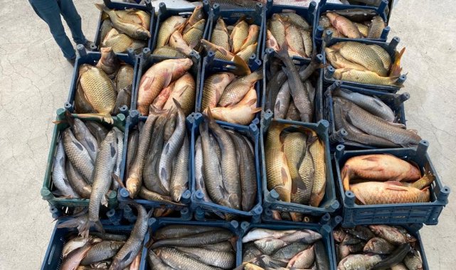 Balık avcılarına göz açtırılmıyor