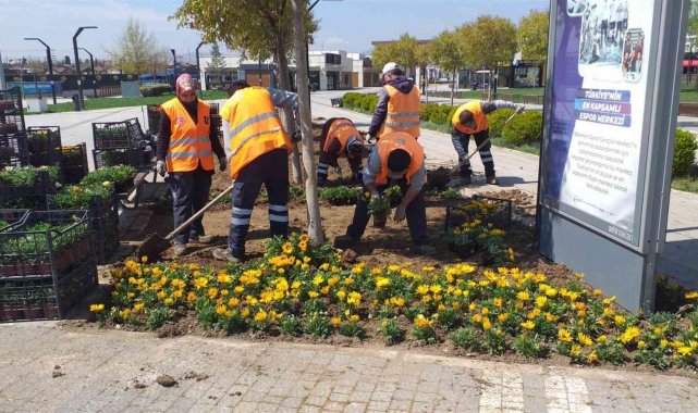 Balıkesir&#039;de Çamlık ve Avlu Bayrama hazır