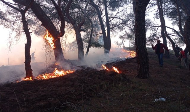 Balıkesir'de gece boyunca çıkan 3 orman yangını söndürüldü