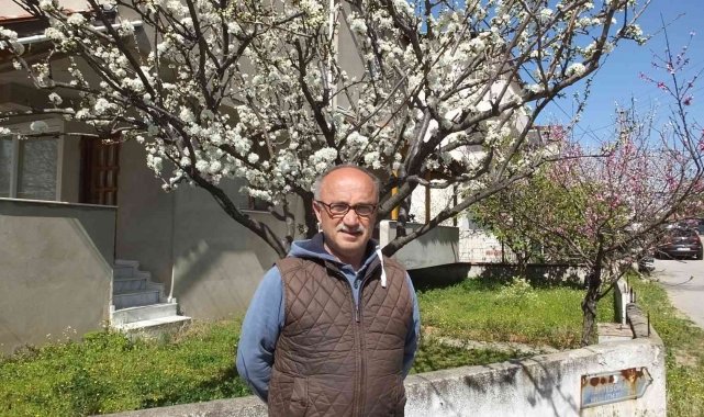 Balıkesir'de meyve ağaçları rengarenk çiçek açtı