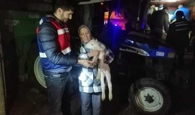Balya'dan çalınan koyunlar Kepsut'ta ele geçirildi