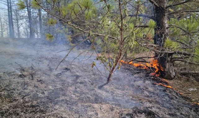 Banaz&#039;da çıkan orman yangınında müdahale devam ediyor