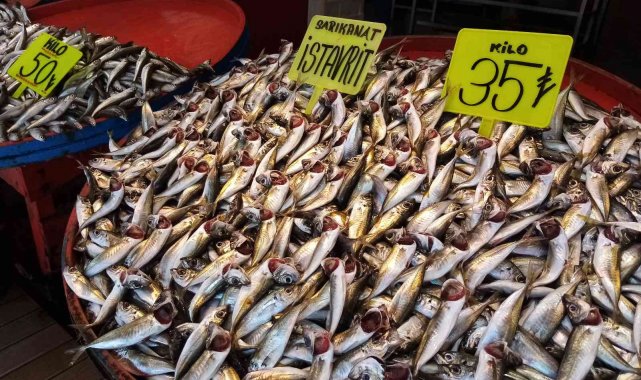 Bandırma balık halinde ramazan bereketi