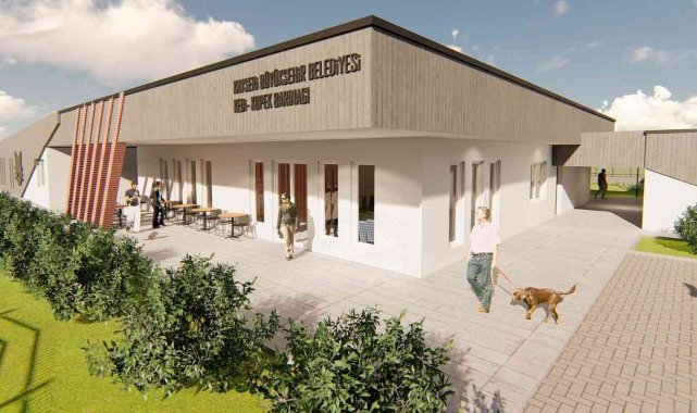 Başkan Büyükkılıç: "Sokak hayvanlarımız için yeni ve modern barınak yapacağız"