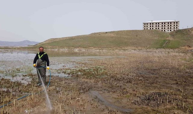 Bataklık alanlarda ilaçlama çalışması