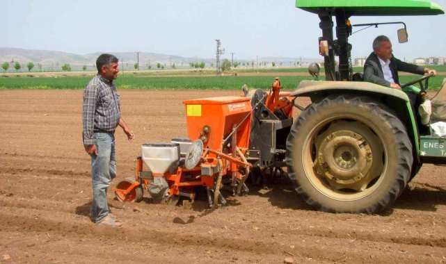 Bayrama günler kala ekimine başlandı