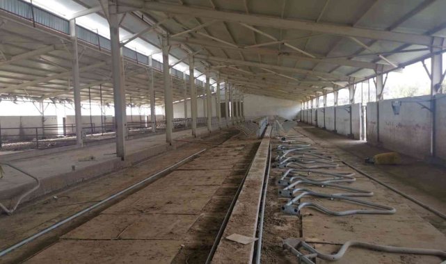 Besi çiftliğinden hırsızlık yapan kişi jandarma tarafından yakalandı