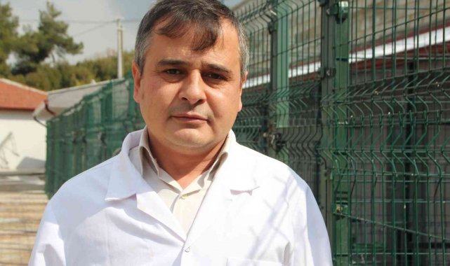 Bilecik belediyesinden haşere uyarısı