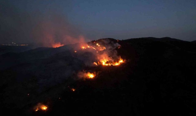 Bilecik&#039;te orman yangını 12 saatin ardından kontrol altına alındı