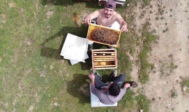 Binlerce arının arasında korkusuzca dolaşıyor