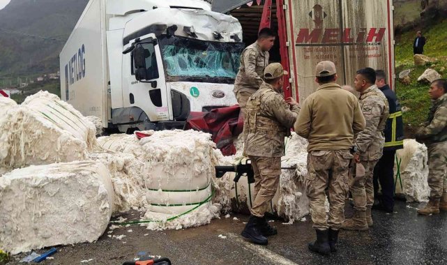 Bitlis'te meydana gelen trafik kazasında 1 kişi yaralandı