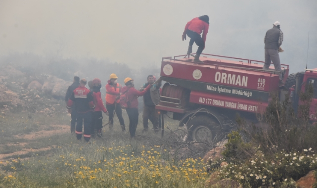 Bodrum &#039;da Yangın Rüzgarın Şiddetiyle Tekrar Başladı...