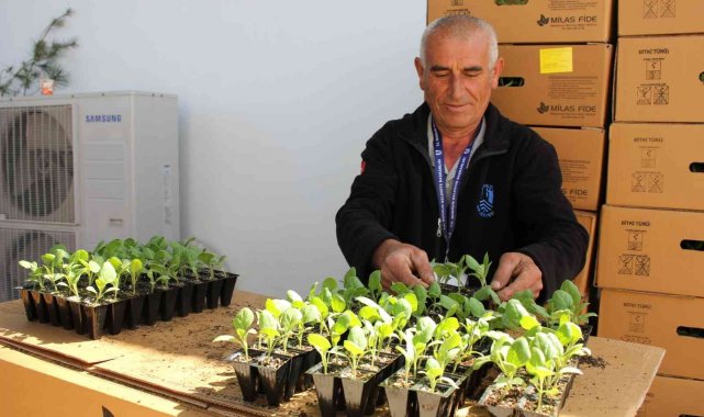 Bodrum'da 142 bin hibe fide üreticiyle buluştu