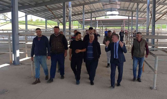 Bölgenin en büyük canlı hayvan pazarlarından biri açılıyor