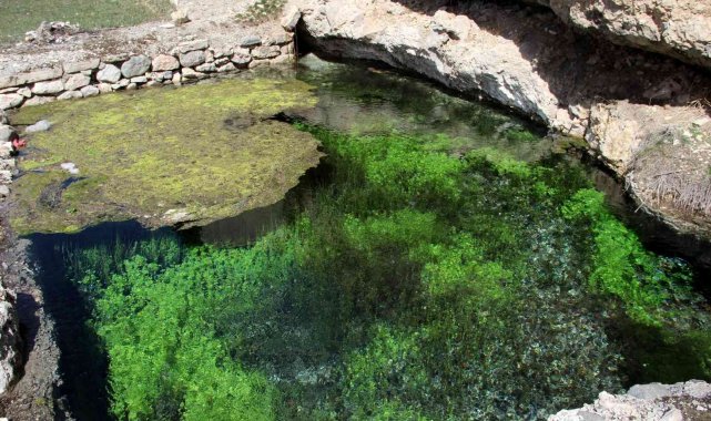 Bu köyün her yanından su fışkırıyor