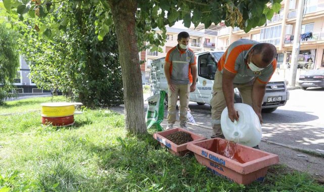 Buca Belediyesi 3 yılda 28 bin sokak hayvanına hizmet verdi
