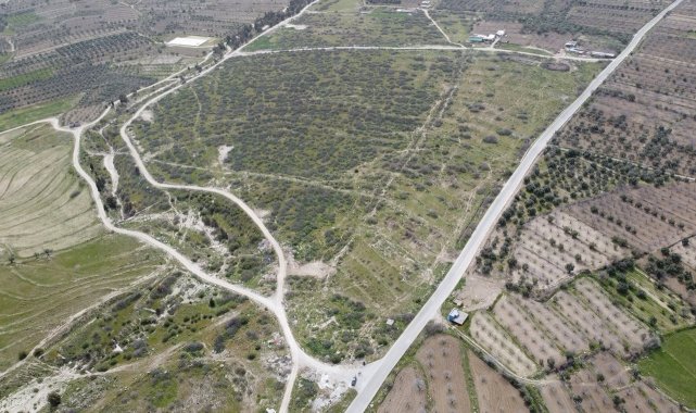 Buharkent Aydın'ın Jeotermal Sera üssü olacak