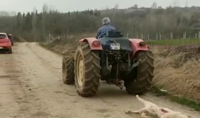 Bursa'da av tüfeği ile vurduğu köpeği traktörüyle sürükledi
