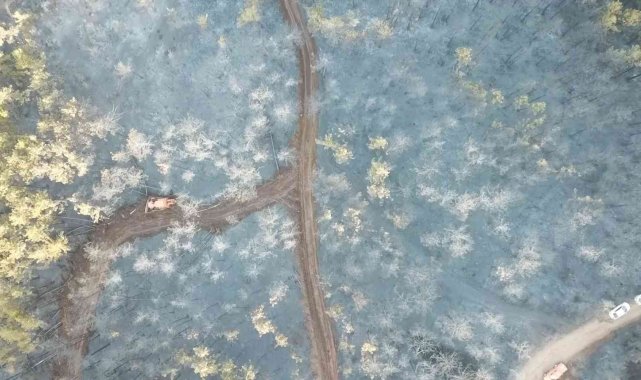 Bursa'daki orman yangını 18 saatlik müdahalenin ardından kontrol altına alındı