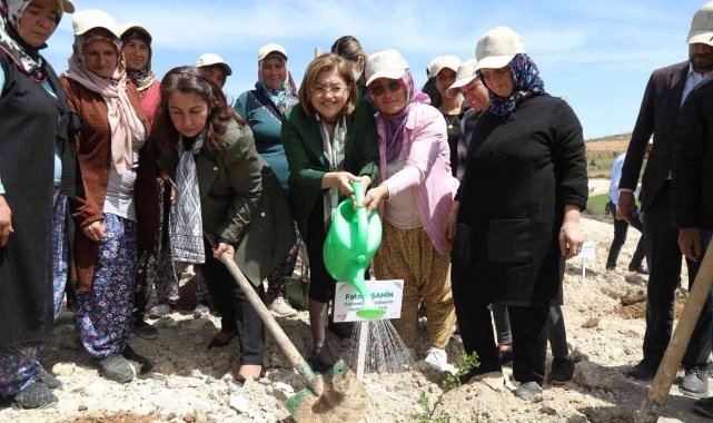 Büyükşehir, Tıbbi Ve Aromatik Bitkiler Ormanı kurdu