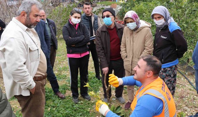 Büyükşehir'den ilçelerde budama ve aşı eğitimi