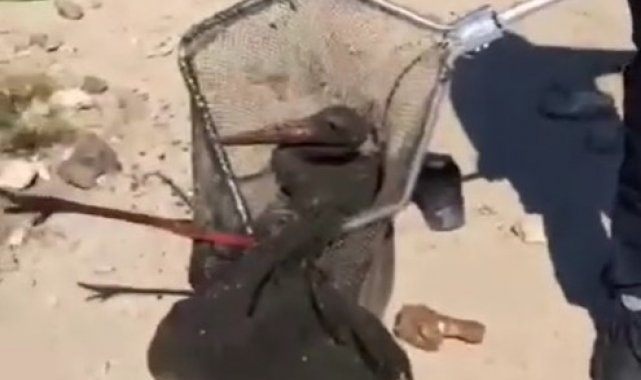 Çamura saplanan leyleği itfaiye ekipleri kurtardı