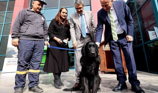 Can dostlar için anlamlı protokol