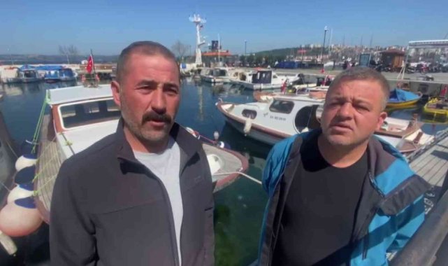 Çanakkale Boğazı'nda yaklaşık 300 kilogram ağırlığında köpek balığı yakaladılar