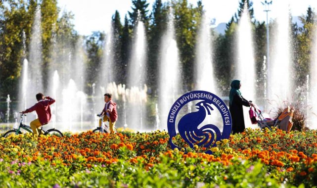 Çiçek açan 1,5 milyon hercai Denizli'ye baharı getirdi