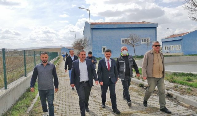 Çiçekdağı ve Yerköy'de sokak hayvanları için 'Geçici Barınak ve Ünite'