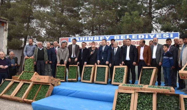 Çiftçilere milyonlarca fide dağıtıldı