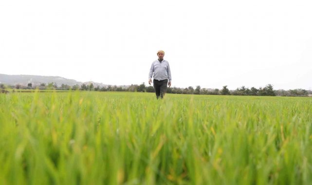 Çiftçinin yüzü gübre desteğiyle güldü