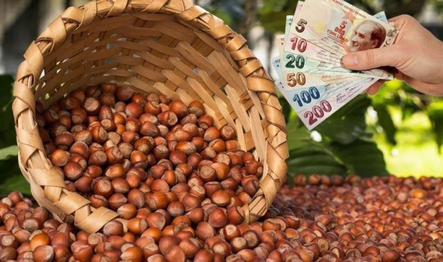 Çiftçiye 71 milyon lira destek