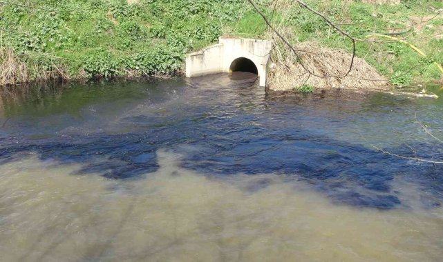 CİMER'i de kandırdılar...Ölüm saçan dereyi "tertemiz akıyor" diye raporladılar
