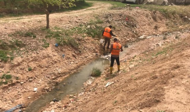 Cizre&#039;de ilaçlama çalışmaları başlatıldı